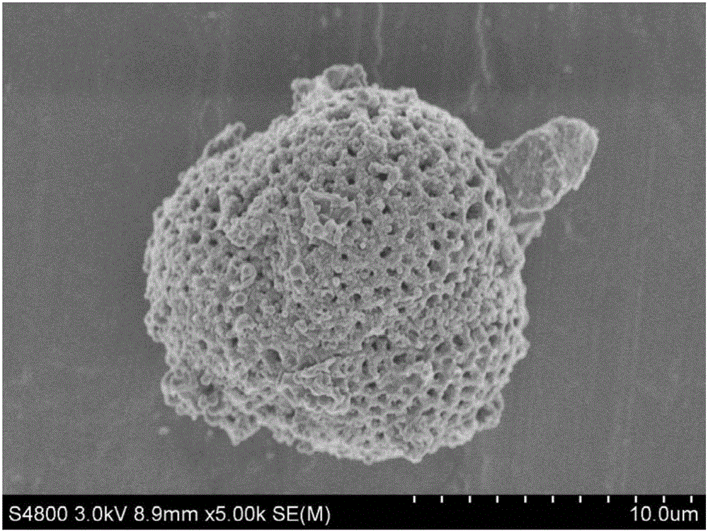 Preparation method of porous spherical biological carbon and application