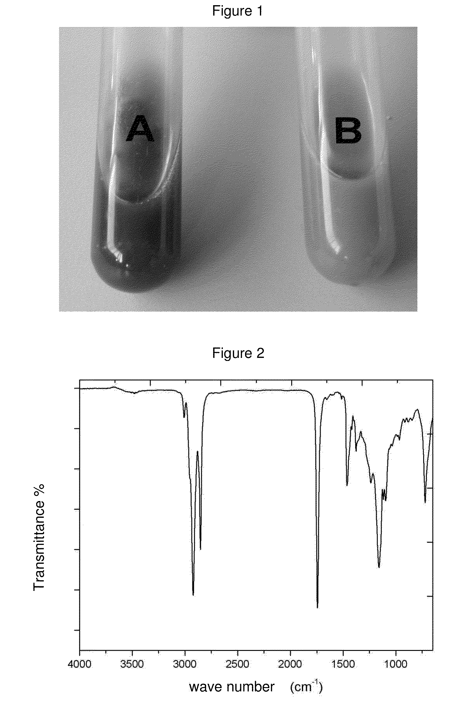 Composition containing resveratrol and/or derivatives thereof and plant oil, process for producing said composition, nutraceutical and/or pharmaceutical product, and method for enhancing the potential of resveratrol