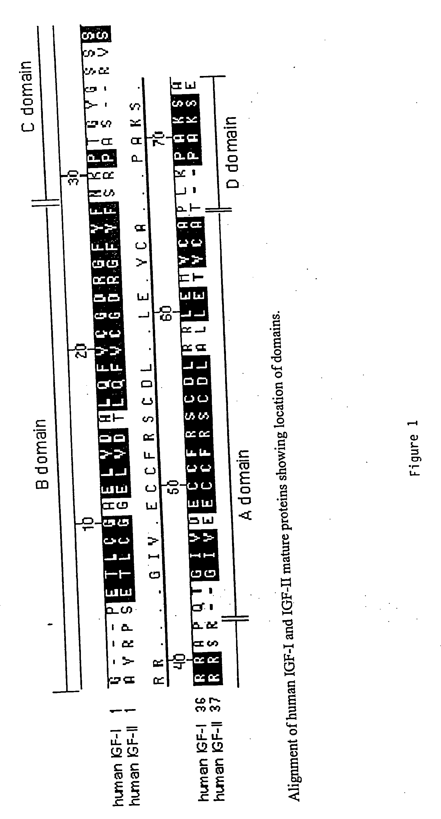 Methods and Compositions for Targeting Proteins Across the Blood Brain Barrier