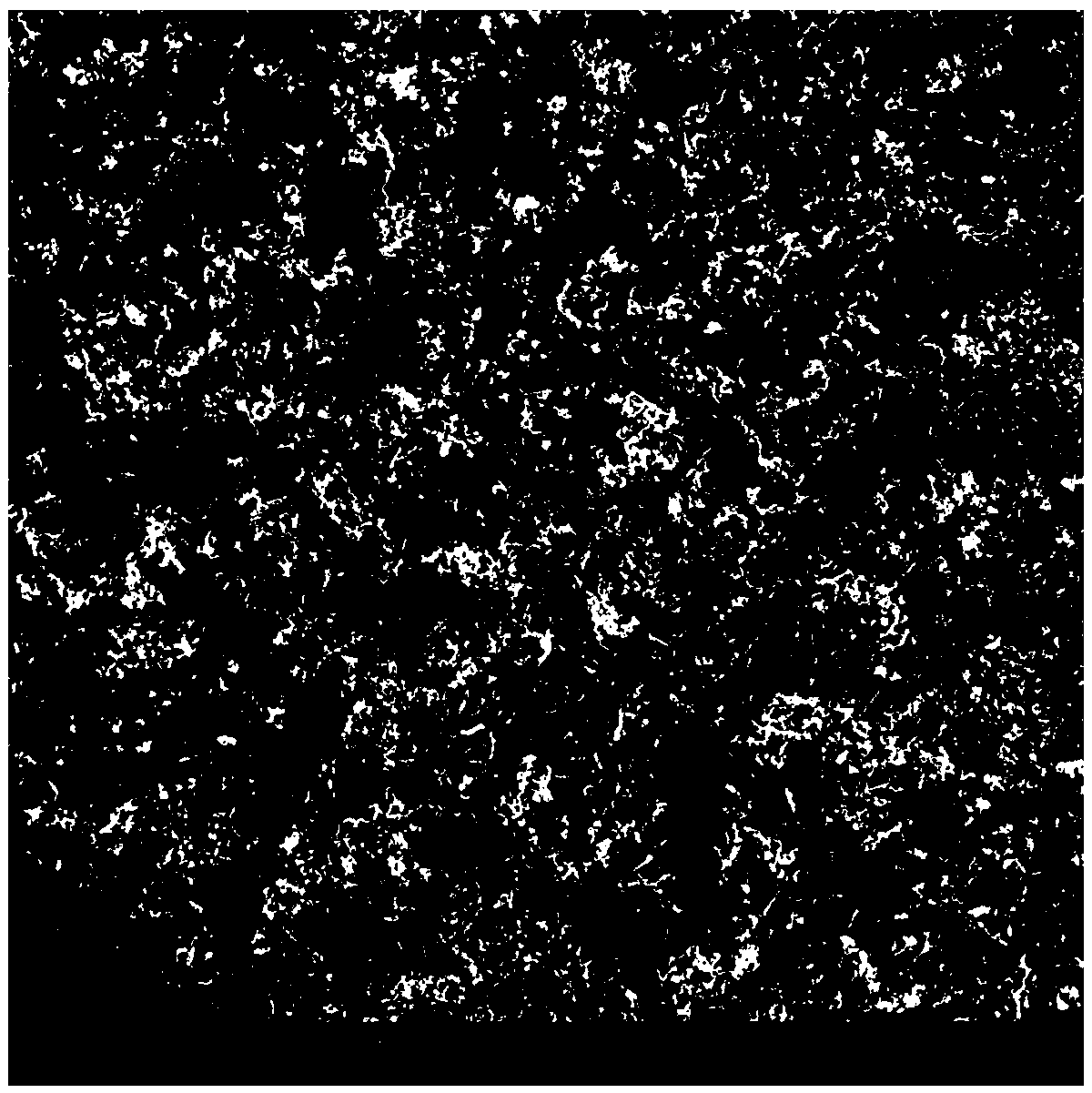 A kind of preparation method of n-doped carbon nanotube/cobalt-nickel oxide/n-doped porous carbon