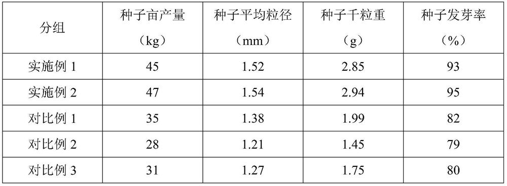 Method for producing Chinese flowering cabbage hybrid seeds