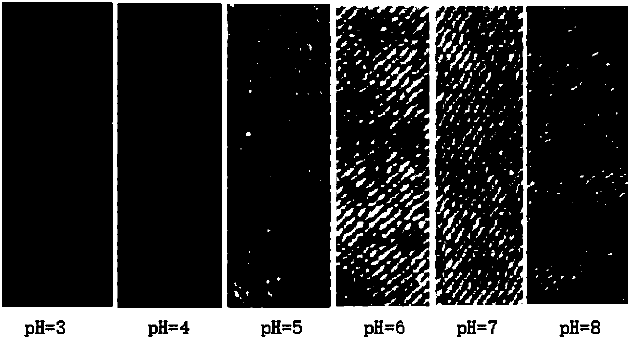 PH (potential of hydrogen) value photochromic antibacterial fabric and preparation method thereof