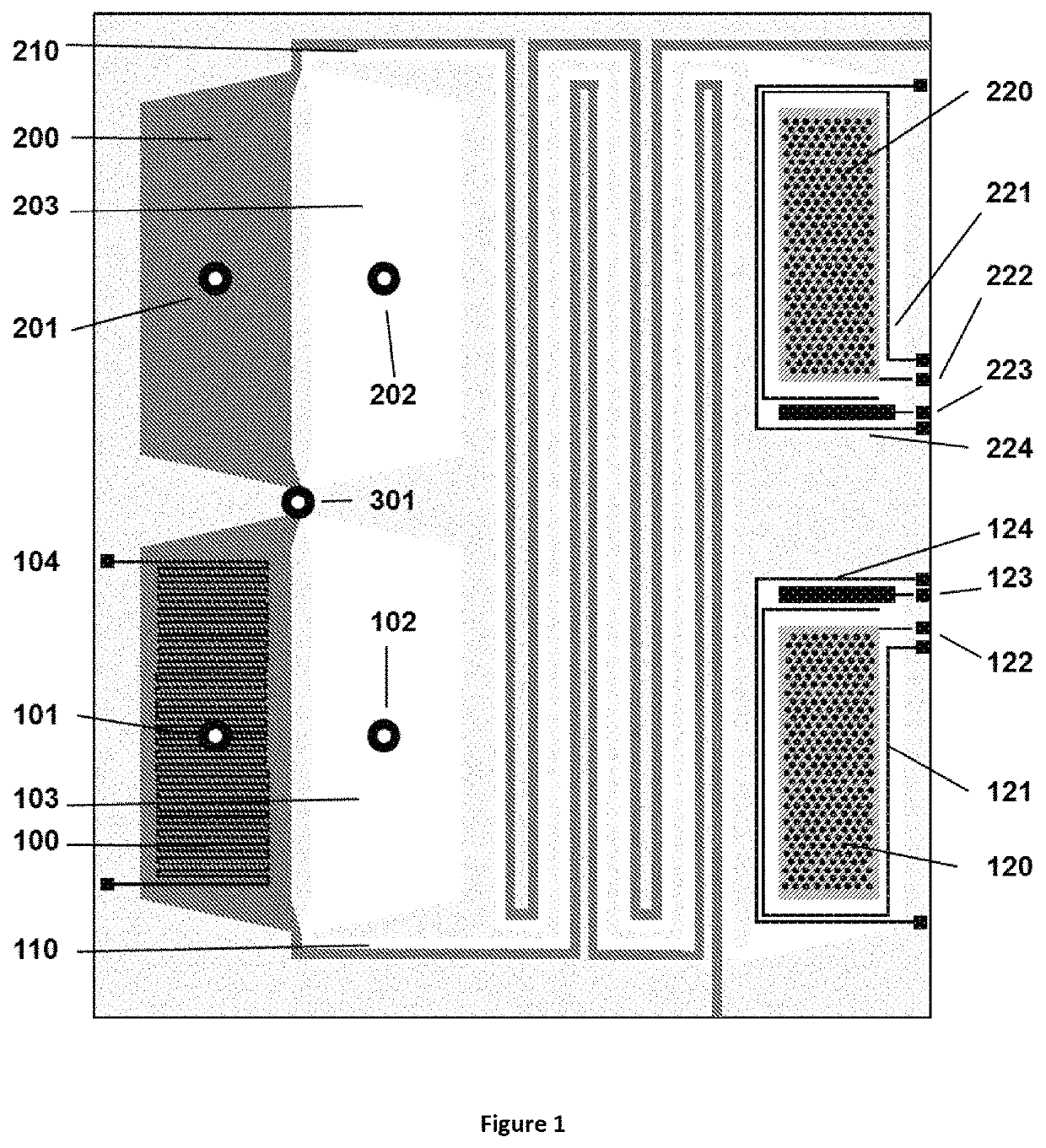 Method for liquid authentication by detection of flavonoid derivatives