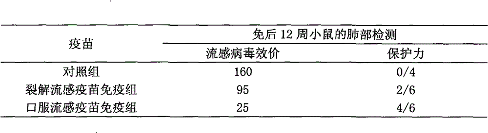 Oral slow release influenza vaccine and preparation method thereof