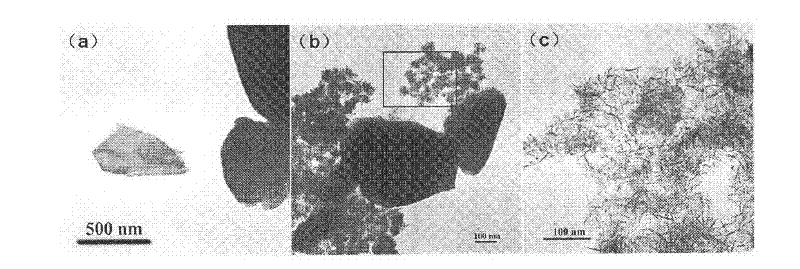 Method for improving selectivity of cis pinane prepared by alpha-pinene hydrogenation