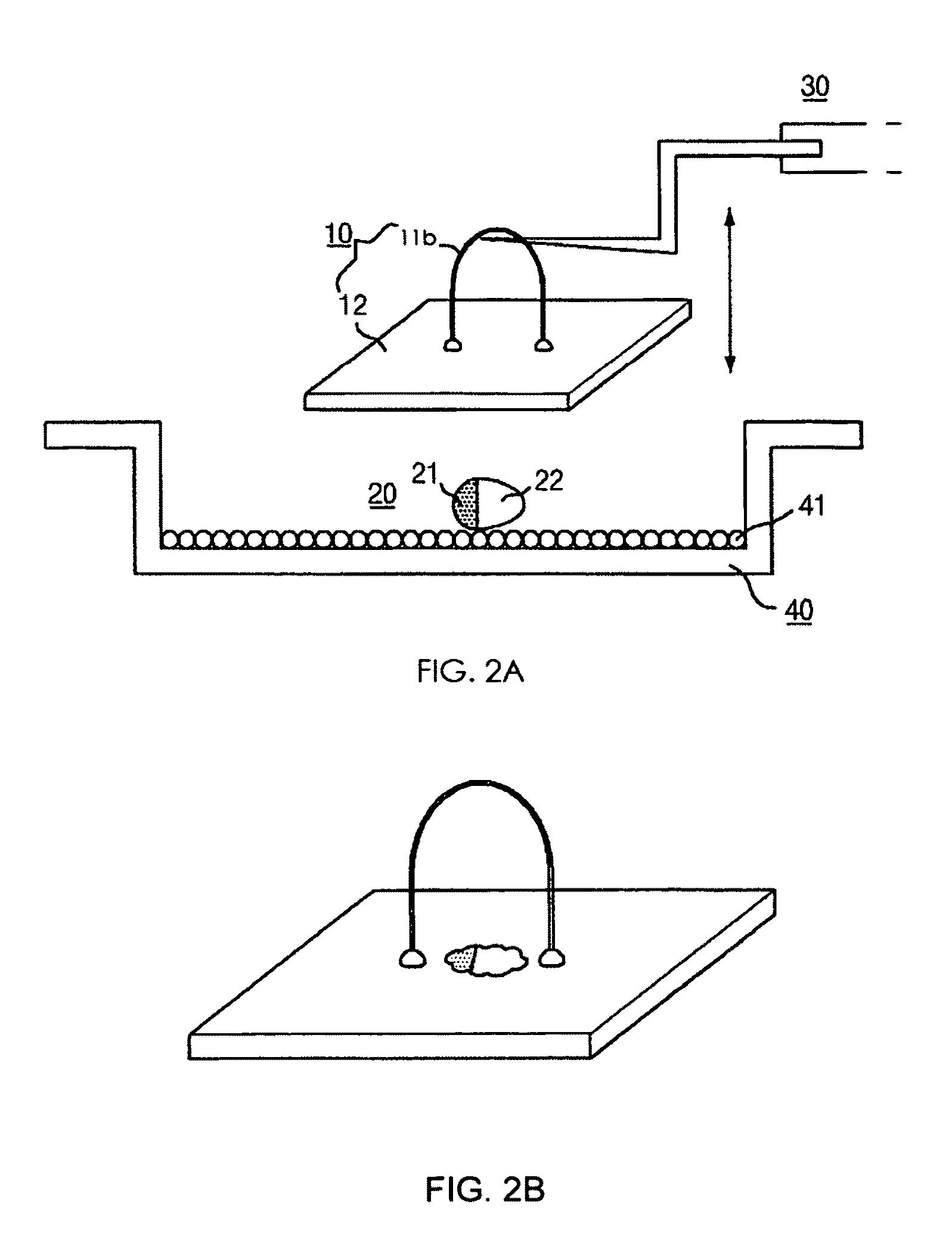 Method for isolation of inner cell mass and method of preparation of embryonic stem cell lines using inner cell mass isolated by the same