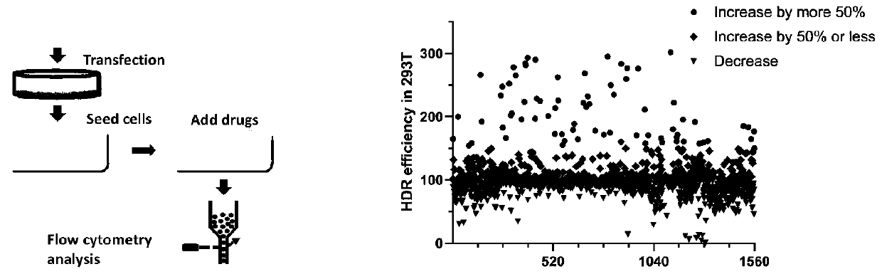 Method for improving efficiency of site-directed insertion of genome by using small molecular compound