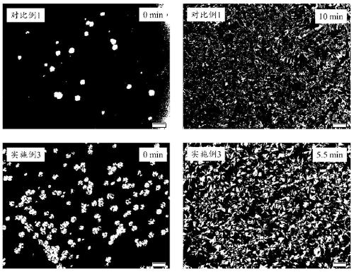 A kind of internally plasticized antistatic polyoxymethylene material and preparation method thereof