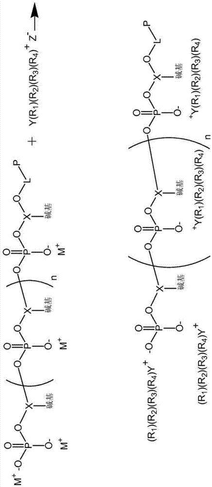 Conjugated polymeric particle and method of making same