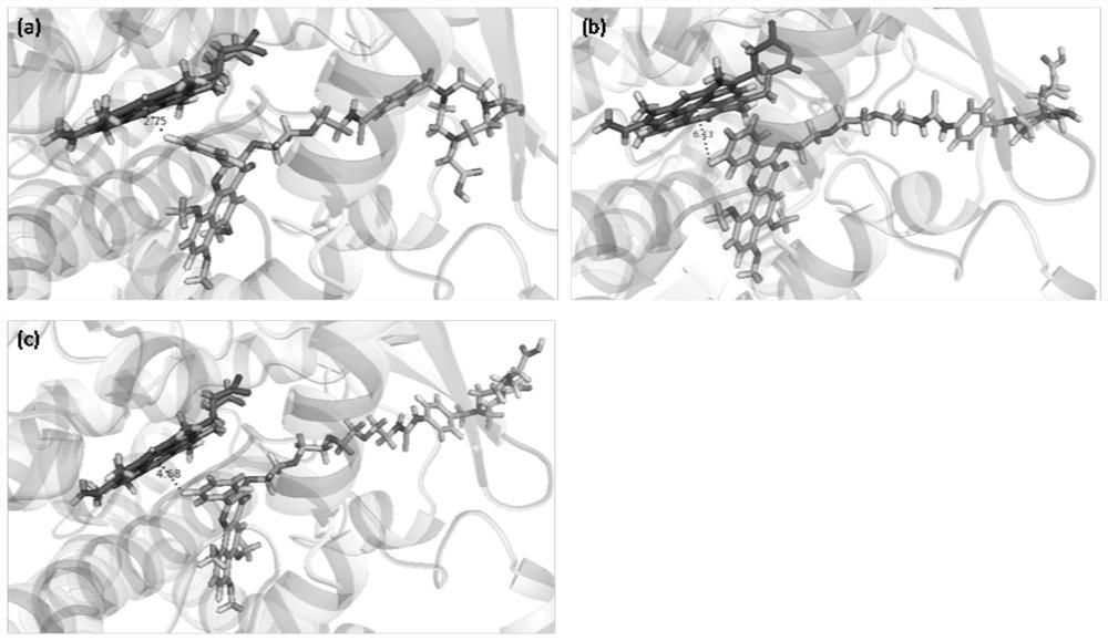 Targeting the cyp1b1 enzyme for radioactivity  <sup>18</sup> f-labeled probe precursor