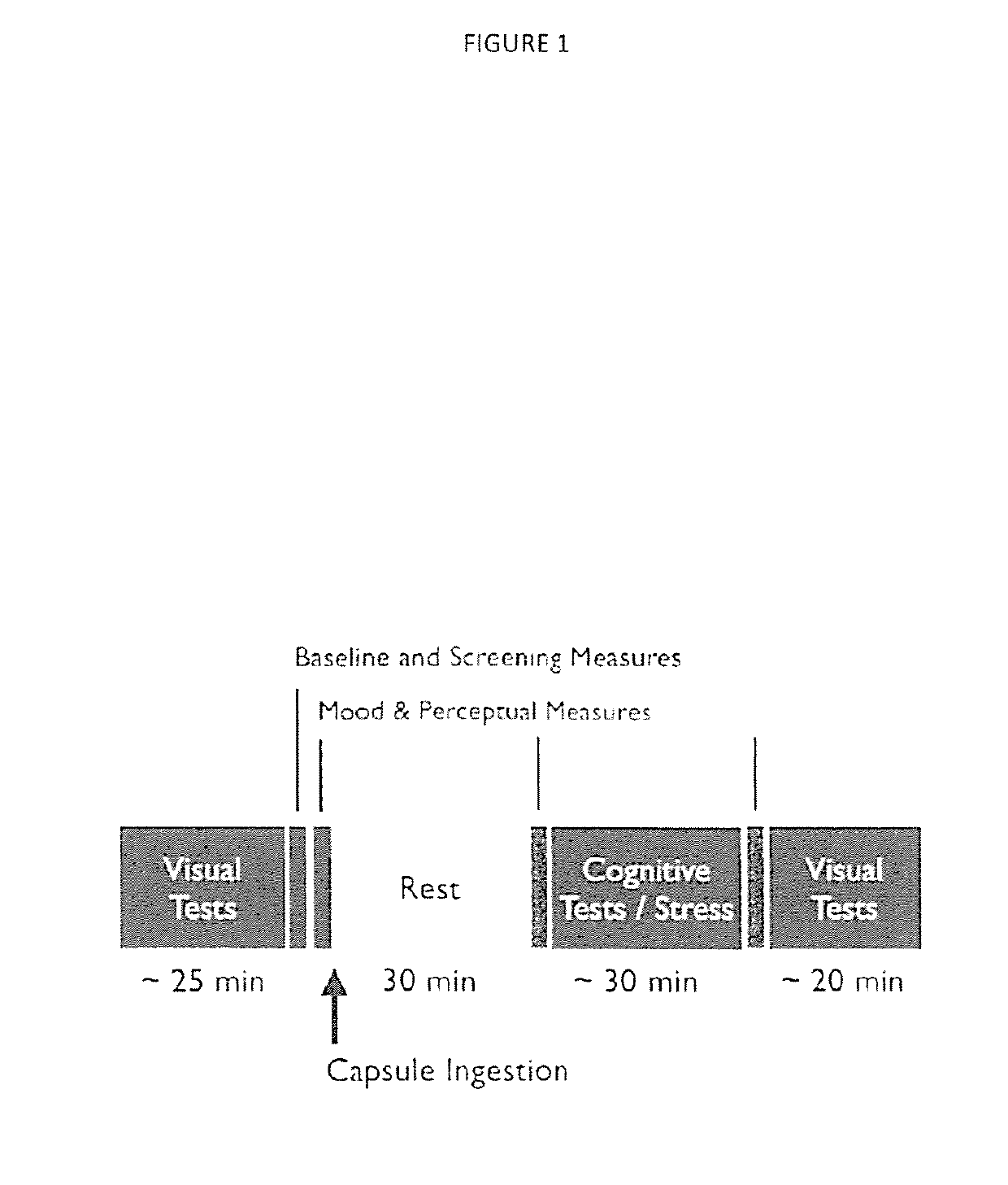 Compositions comprising l-theanine, proanthocyanidin/s and a catechin and uses thereof