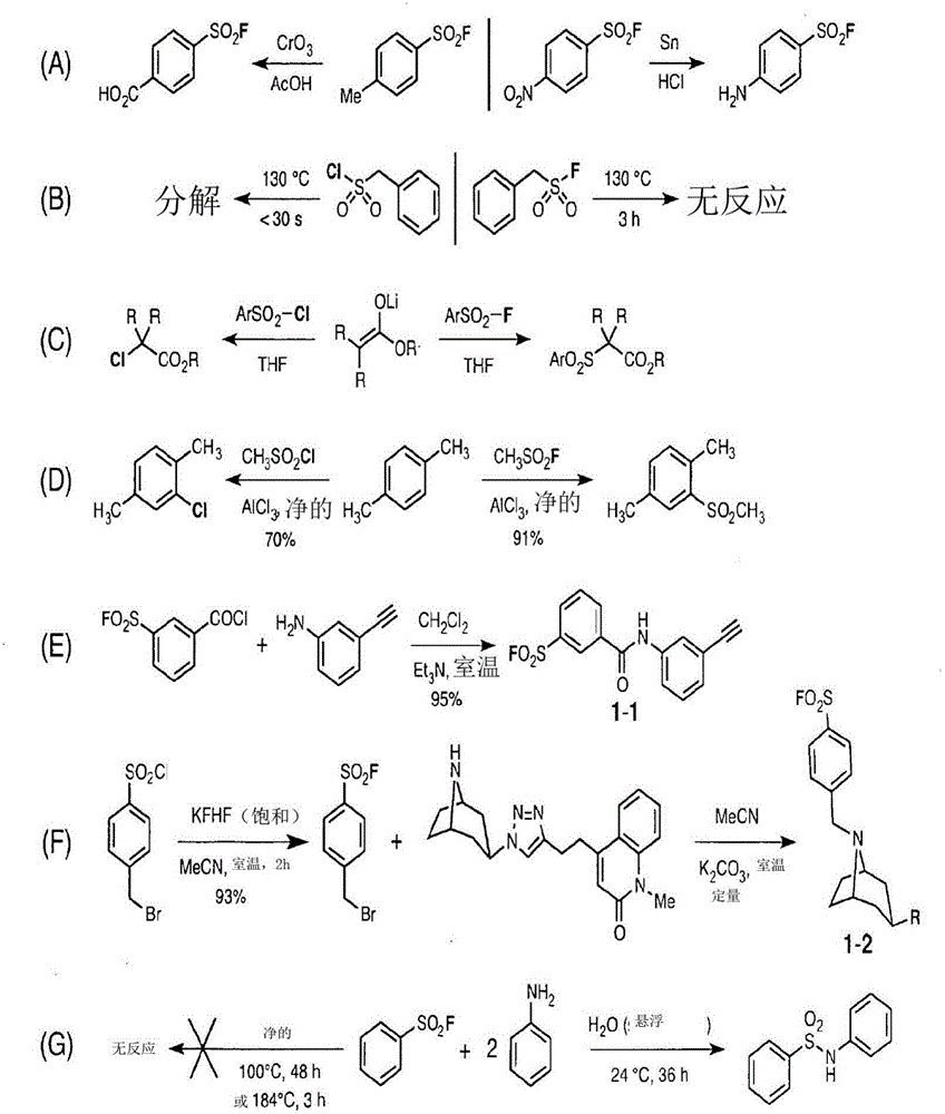 Sulfur(vi) fluoride compounds and methods for the preparation thereof