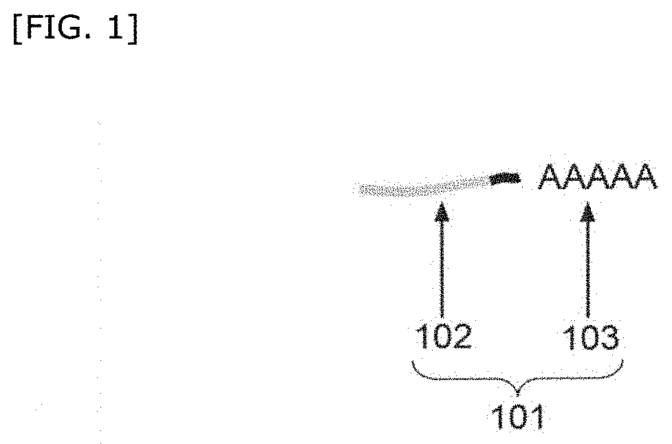 Method for detecting genome-related information of cell
coexisting with at least one type of test substance