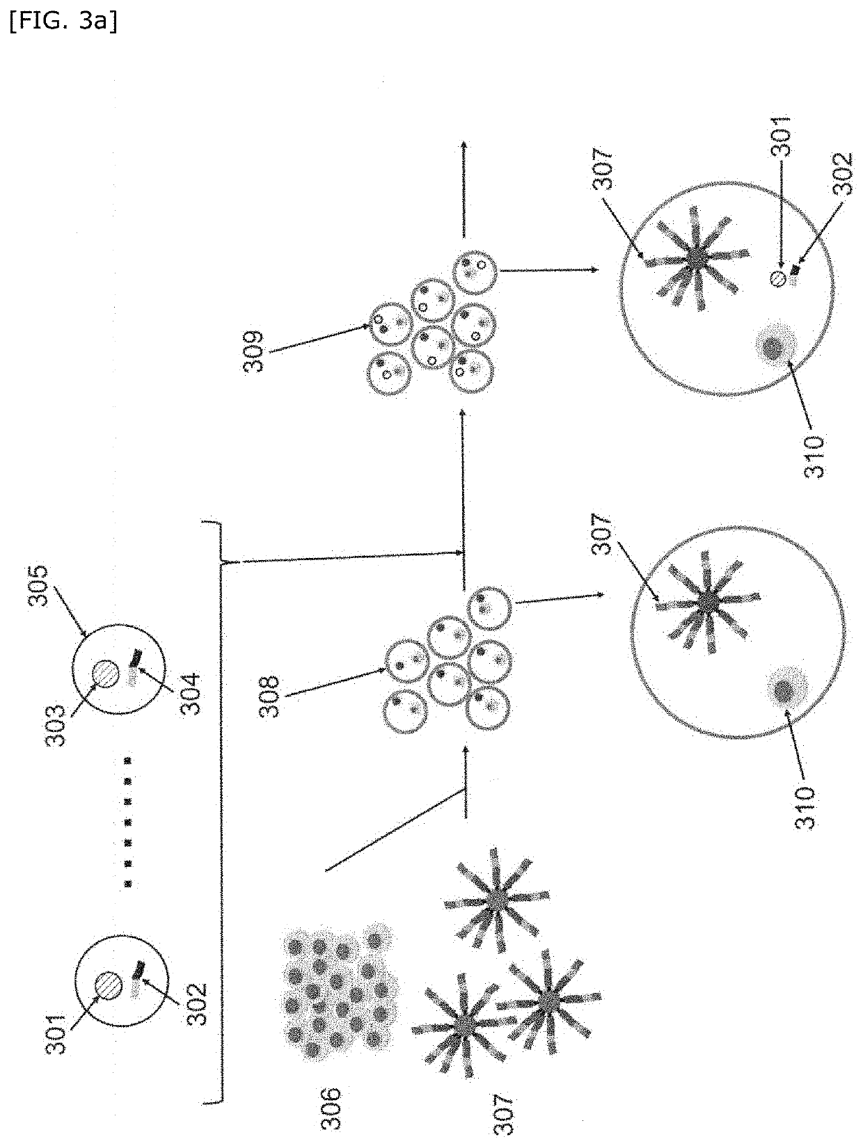 Method for detecting genome-related information of cell
coexisting with at least one type of test substance