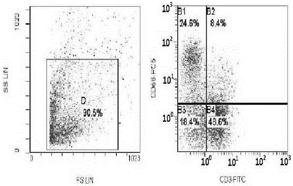 A serum-free medium for immune cells