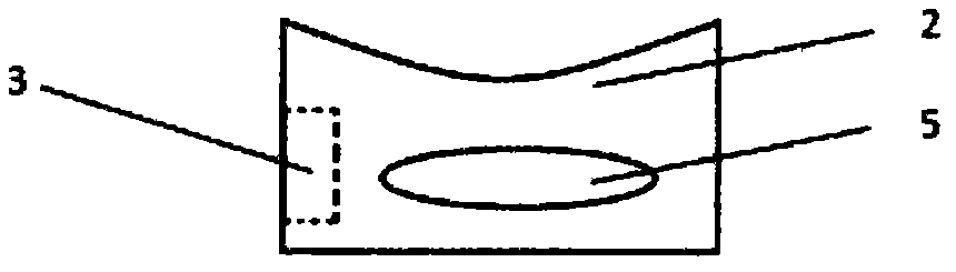 Hylobitelus xiaoi Zhang adult trapping and killing device and application method thereof