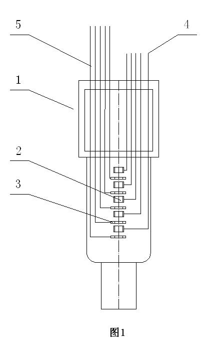 Hollow cathode lamp and atomic absorption spectrometer manufactured by hollow cathode lamp