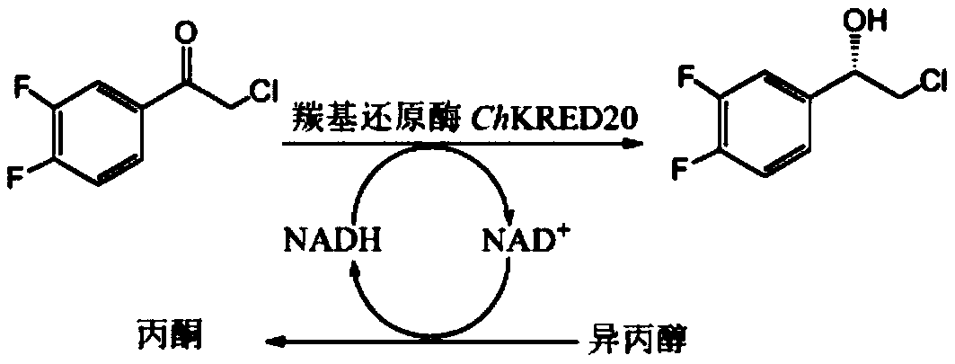 Method for preparing (S)-2-(3,4-difluorophenyl)ethylene oxide