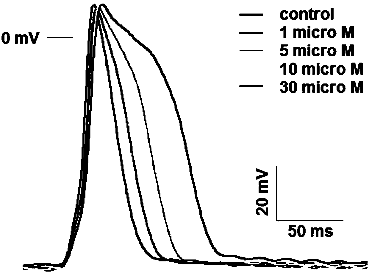 Application of hypotensor Pempidine serving as novel antiarrhythmic drug