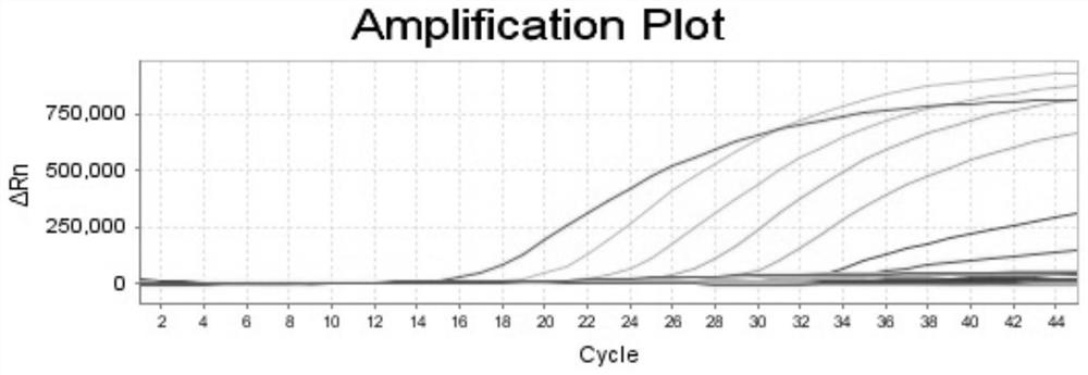 Novel coronavirus nucleic acid and mutant gene detection kit based on fluorescent quantitative PCR technology and application of kit