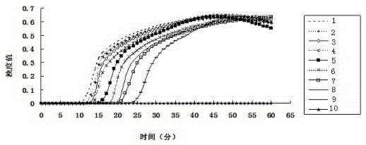 Mycoplasma hyopneumoniae loop-mediated isothermal amplification kit and application thereof