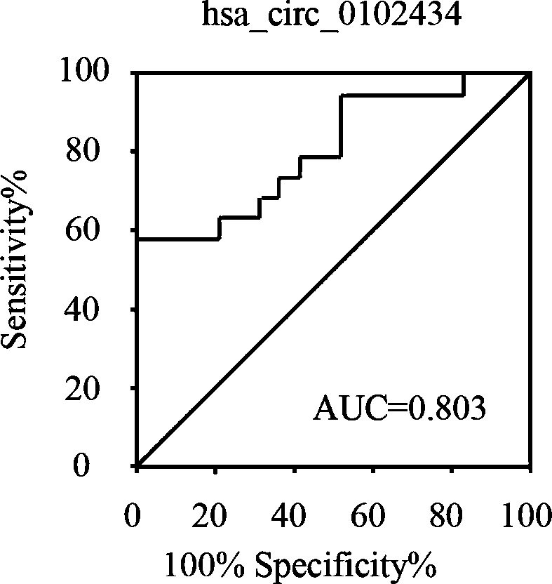 CircRNA markers for diagnosing poorly differentiated adenocarcinoma of stomach and application thereof