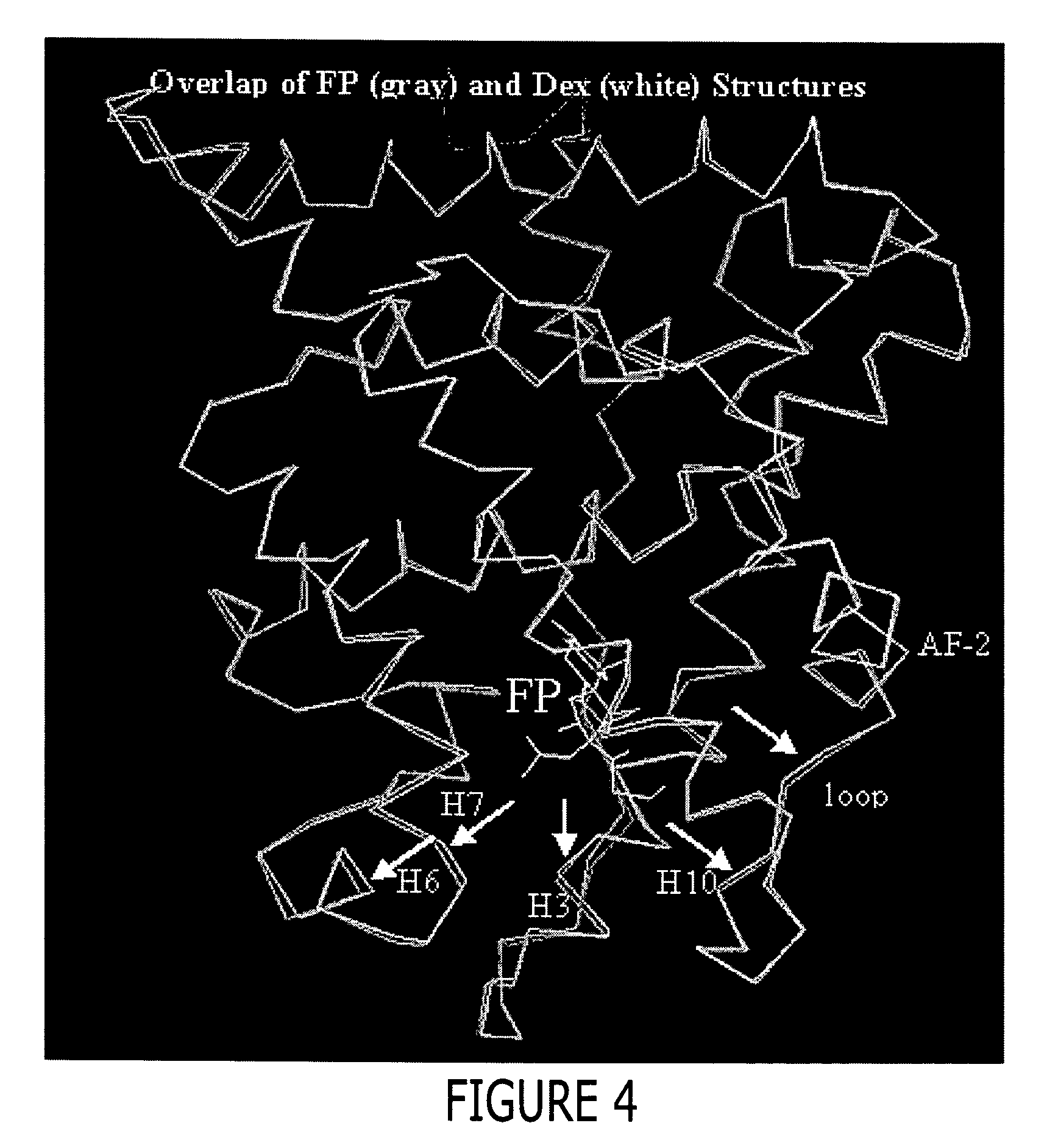 Structure of a glucocorticoid receptor ligand binding domain comprising an expanded binding pocket and methods employing same