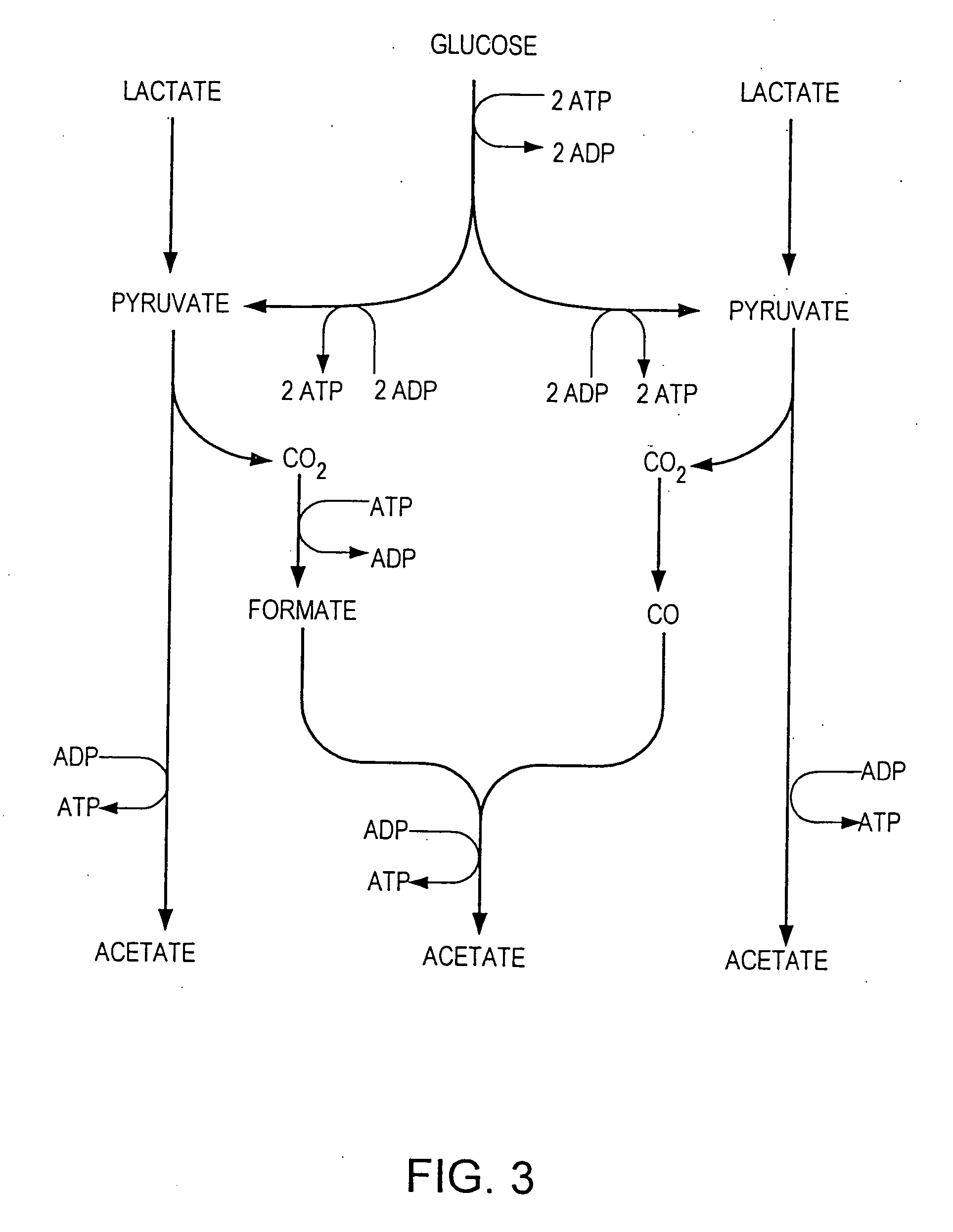 Process for producing ethanol