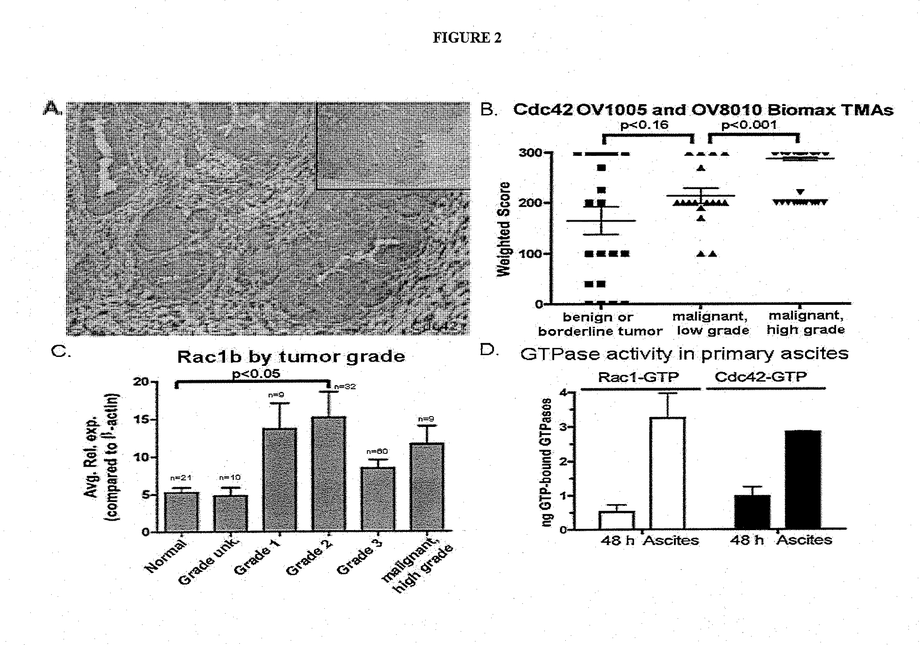 Modulators of GTPases  and Their Use