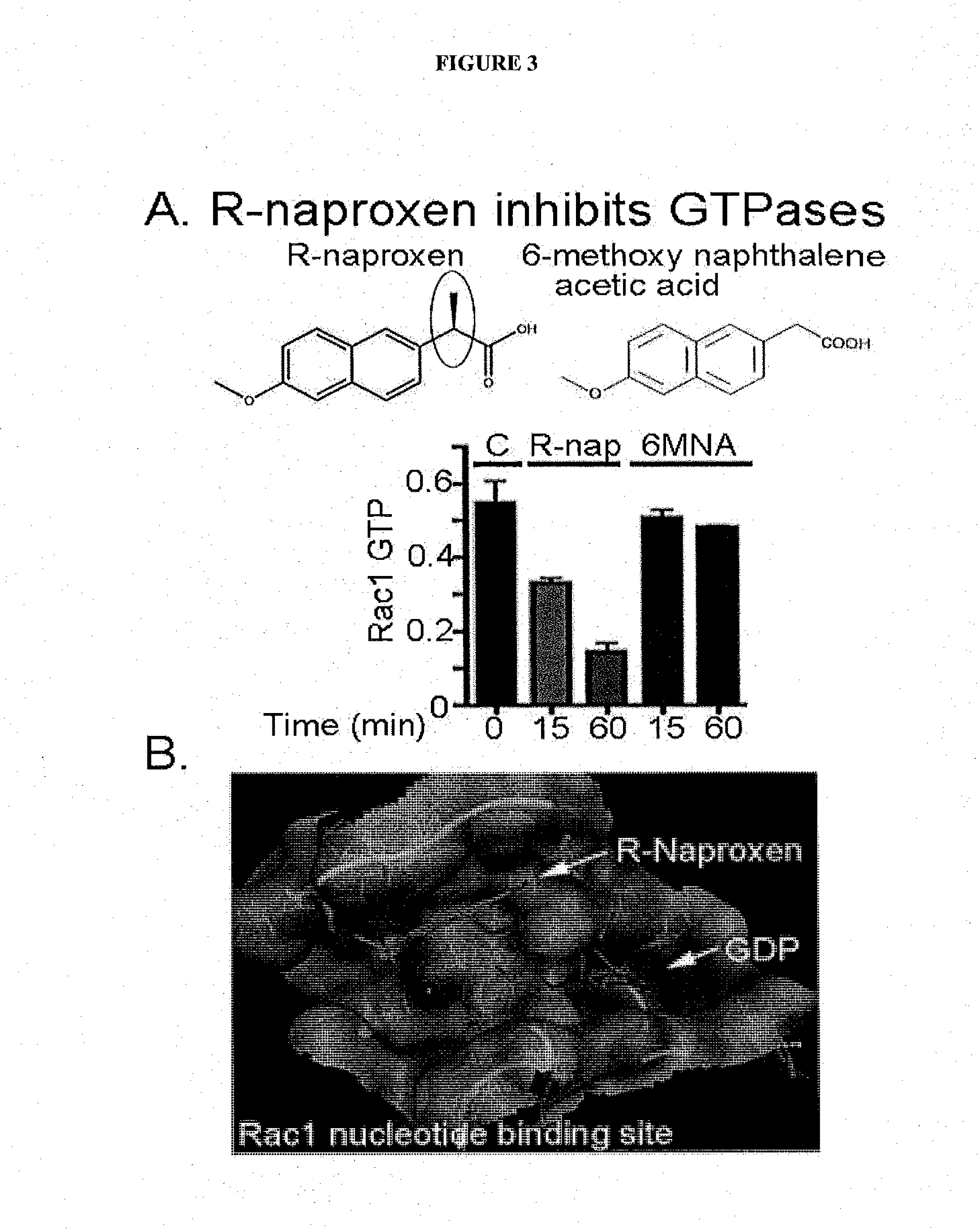 Modulators of GTPases  and Their Use