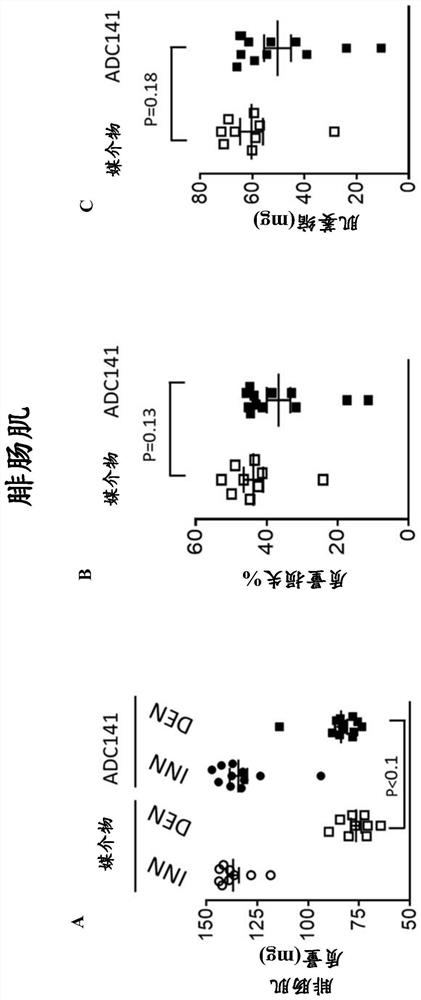 Pharmaceutical compounds and their use as inhibitors of ubiquitin specific protease 19 (USP19)