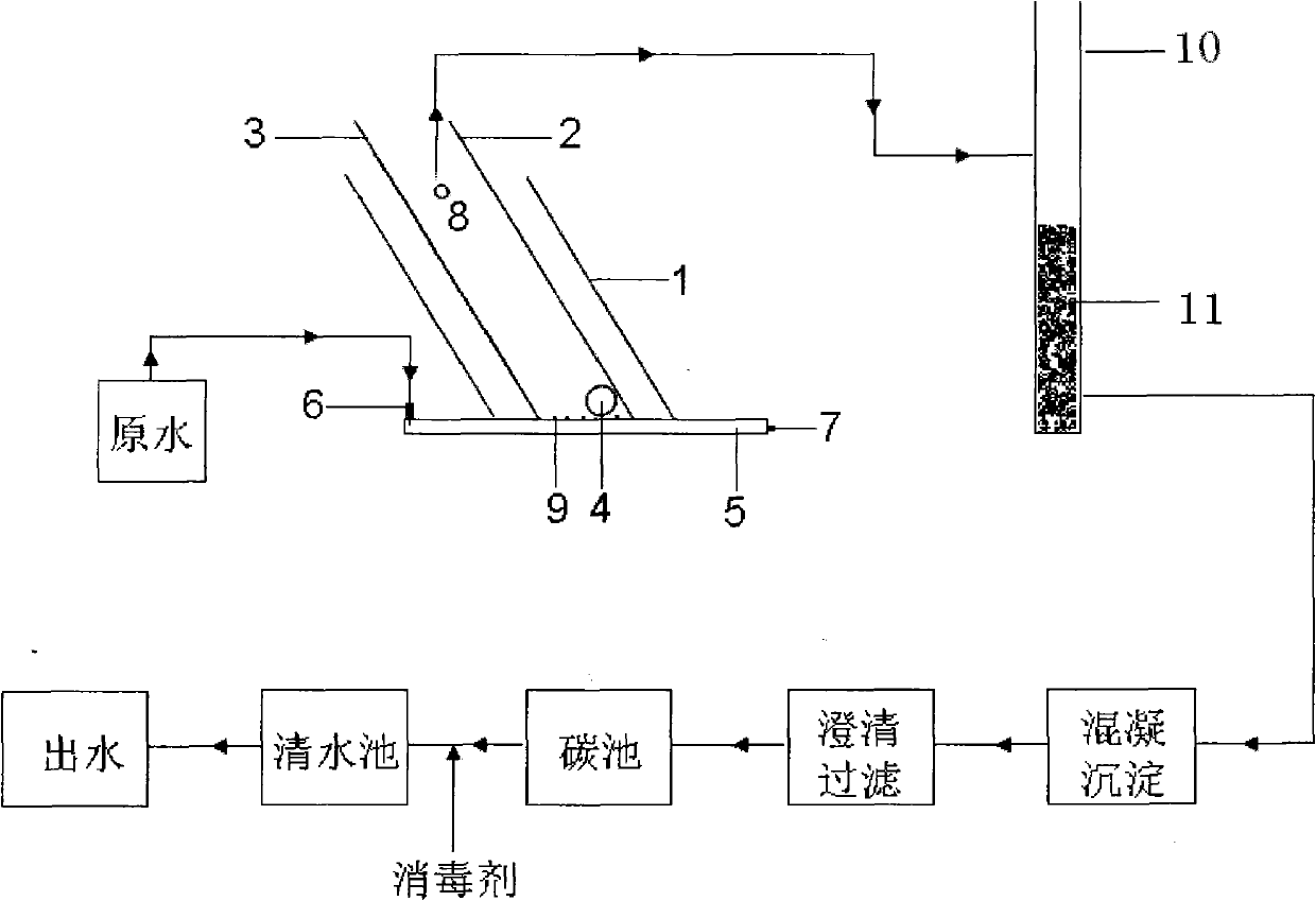 Drinking water electrochemical preoxidation device and method