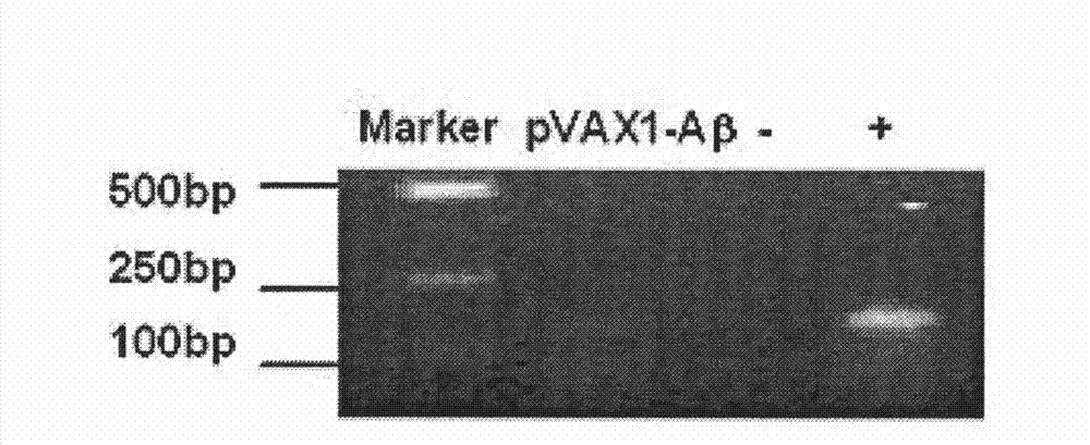 Composite vaccine for Alzheimer's disease prevention and treatment, and preparation method thereof