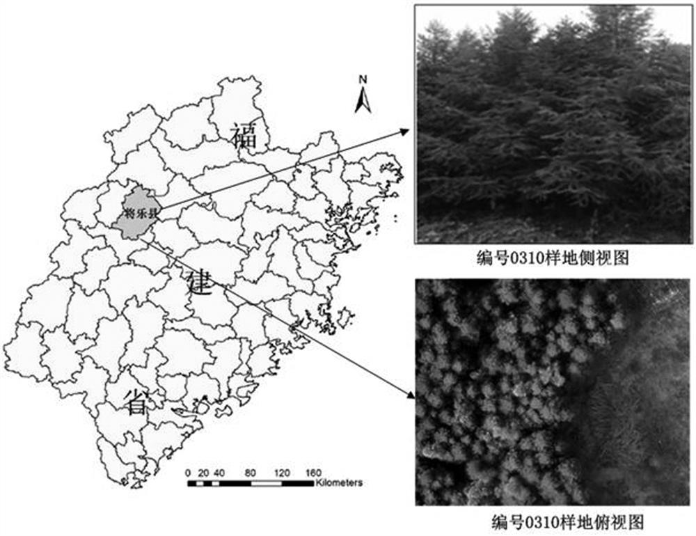 A tree height extraction method for high-canopy closed forest plots by combining uav images and tls point clouds