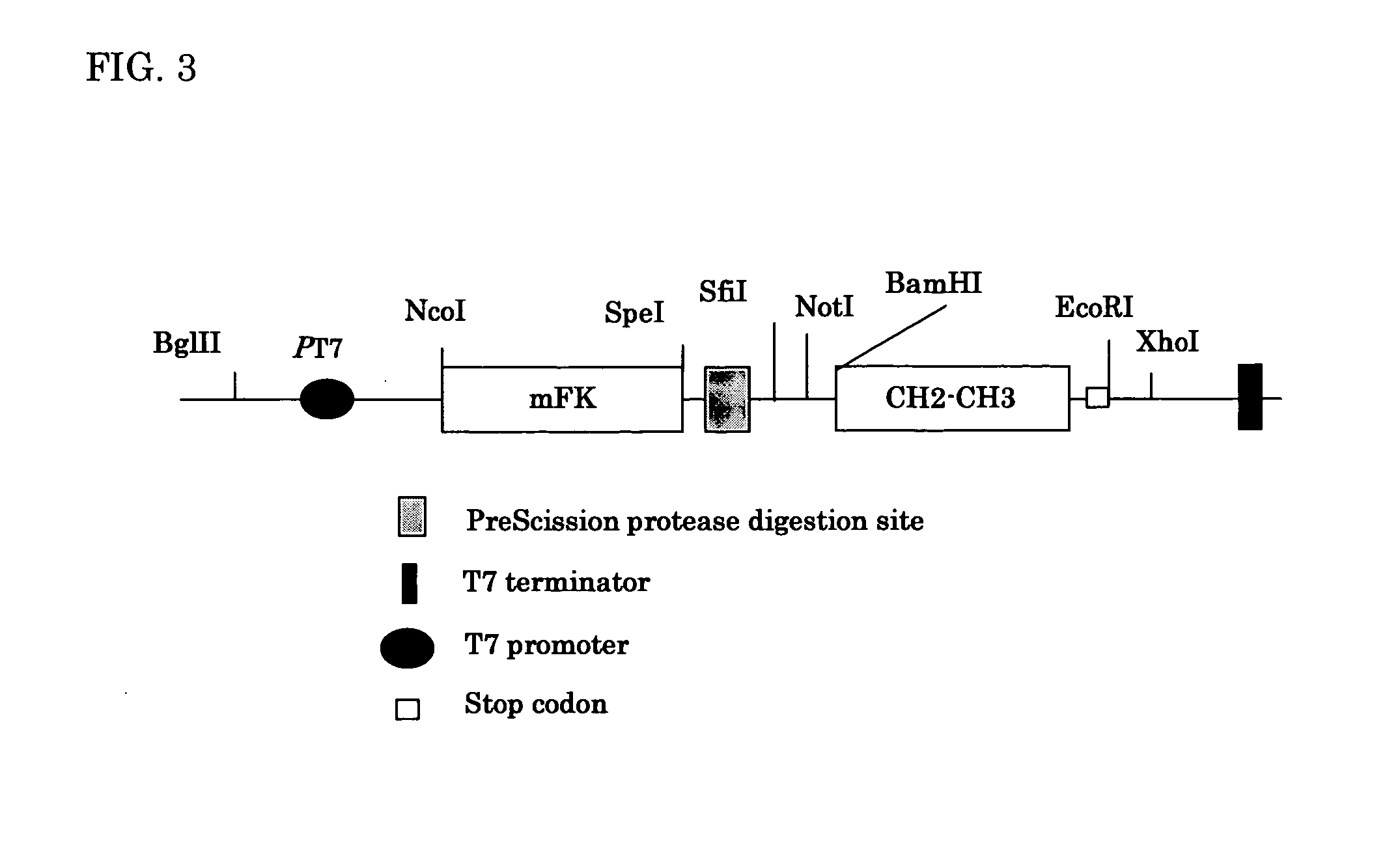 Methods for producing recombinant polyclonal immunoglobulins