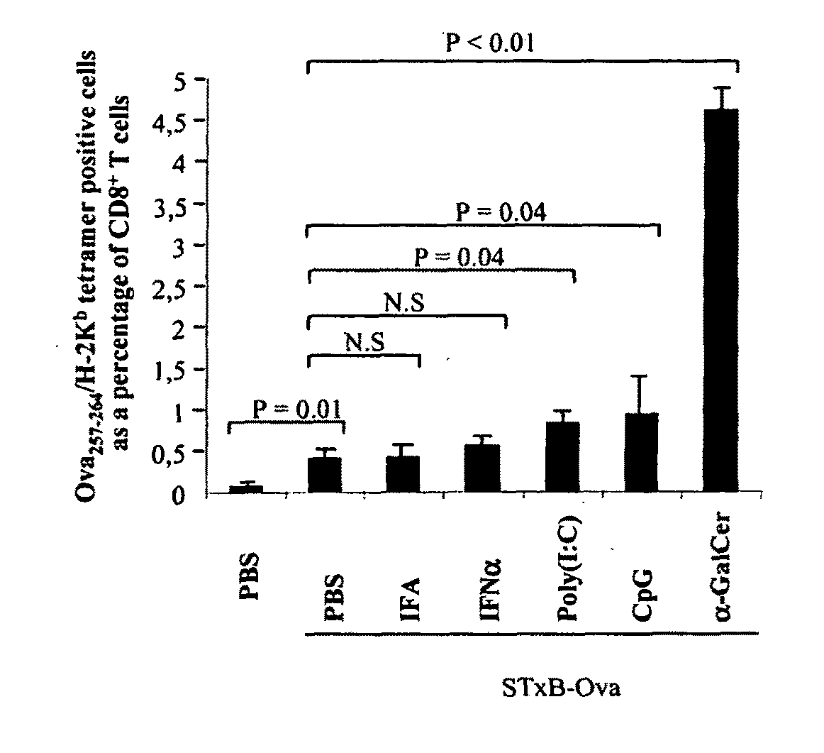 Compositions comprising a b subunit of shiga toxin and a means stimulating nkt cells