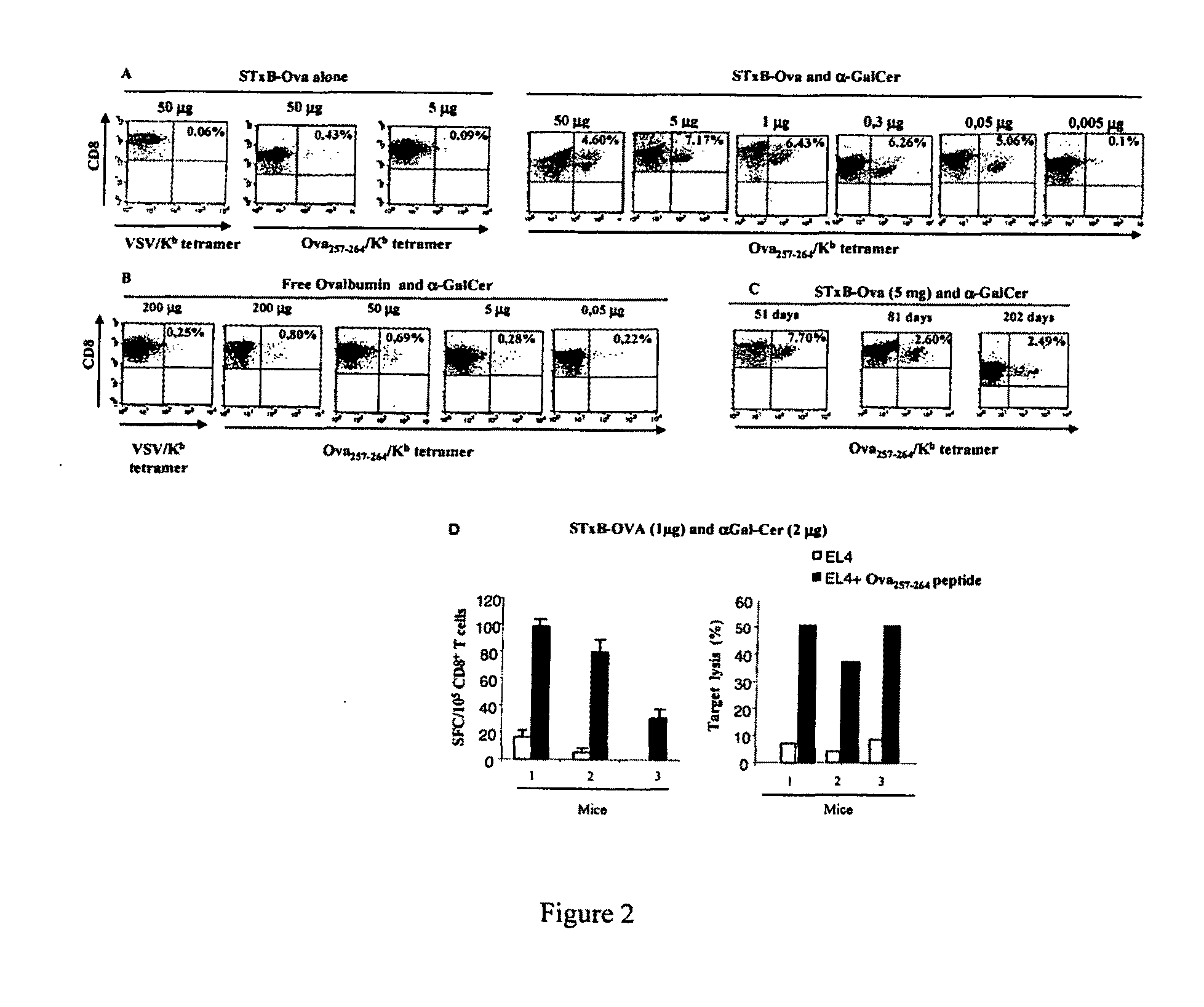 Compositions comprising a b subunit of shiga toxin and a means stimulating nkt cells