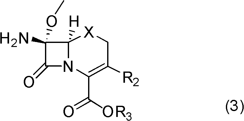 Preparation method of 7beta-amino-7lapha-methoxy-3-cephem compound