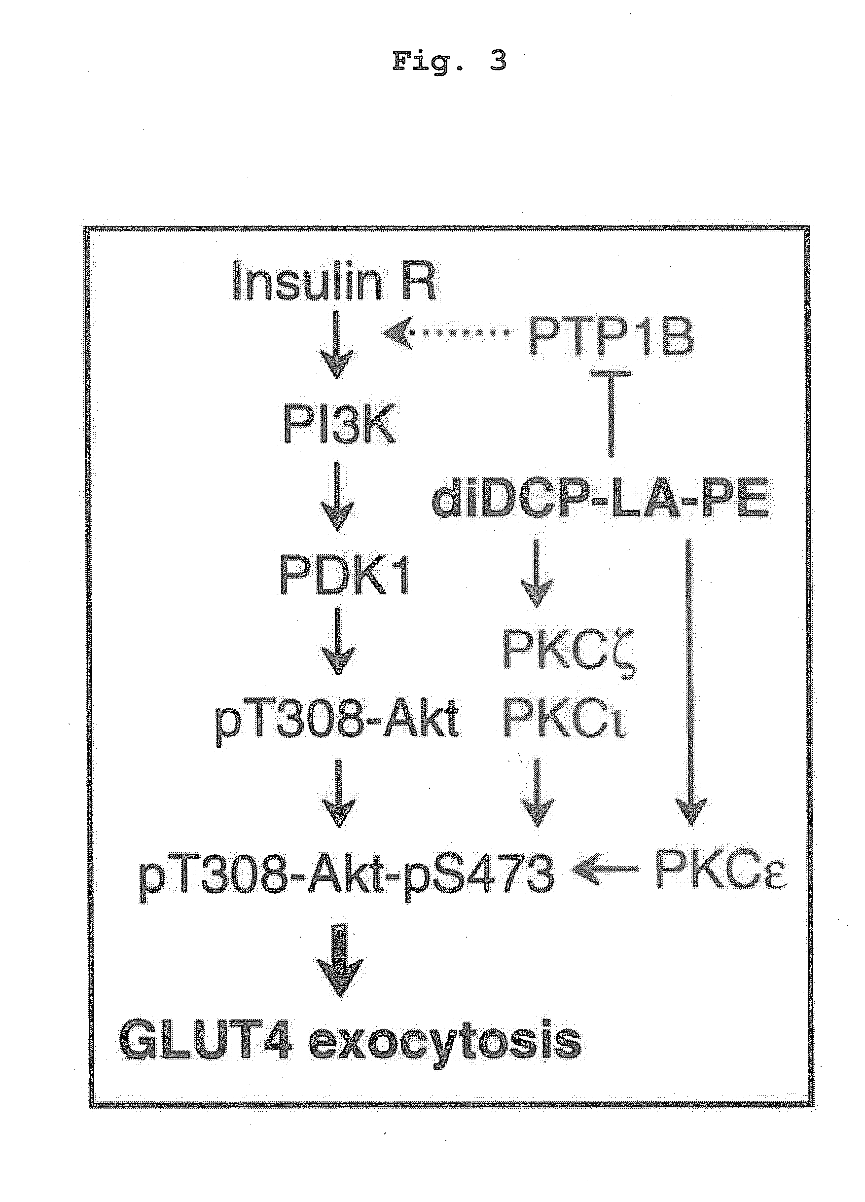 Phospholipid compound containing unsaturated fatty acid derivative having cyclopropane ring