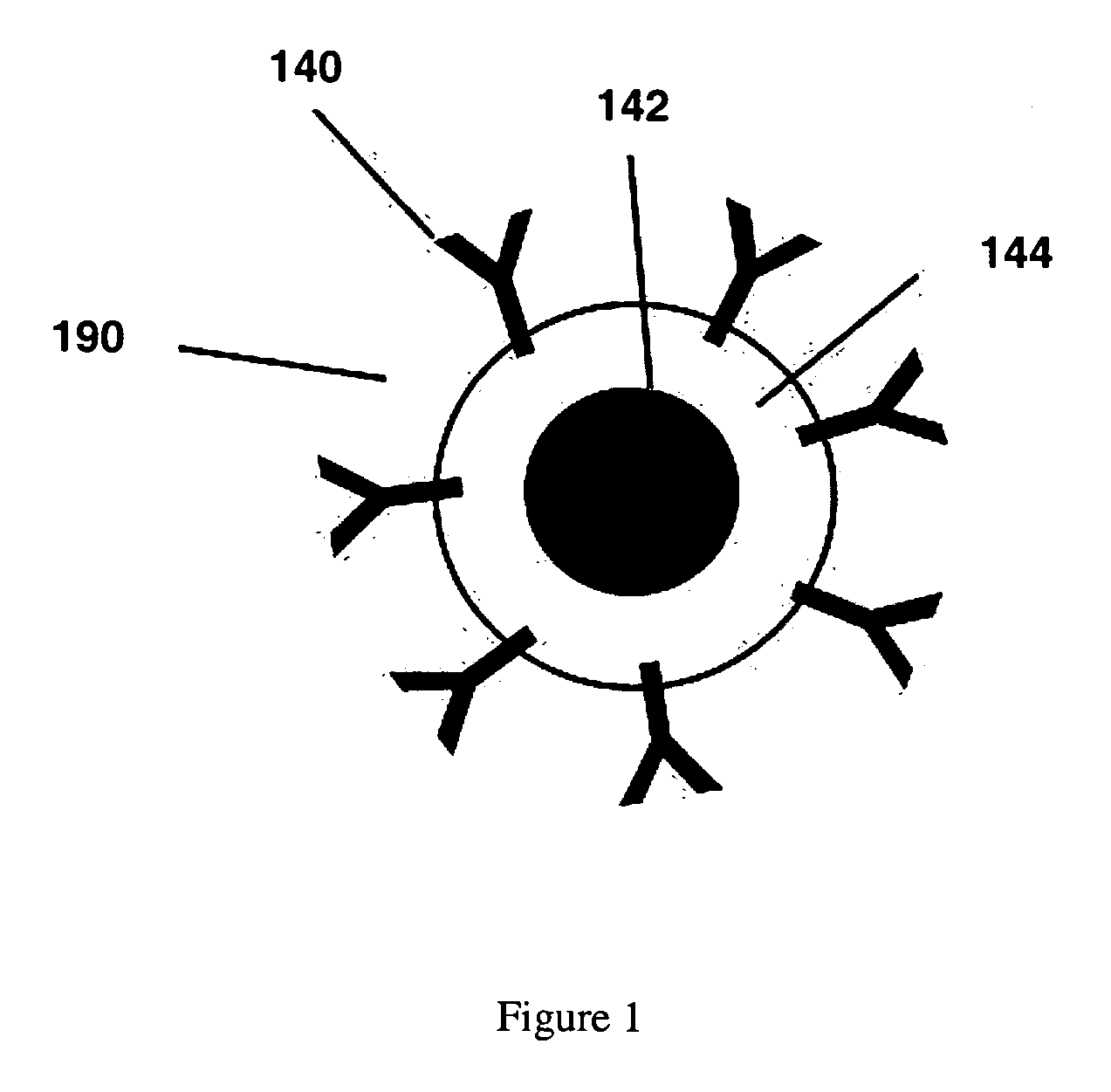 Magnetic nanoparticle compositions, and methods related thereto