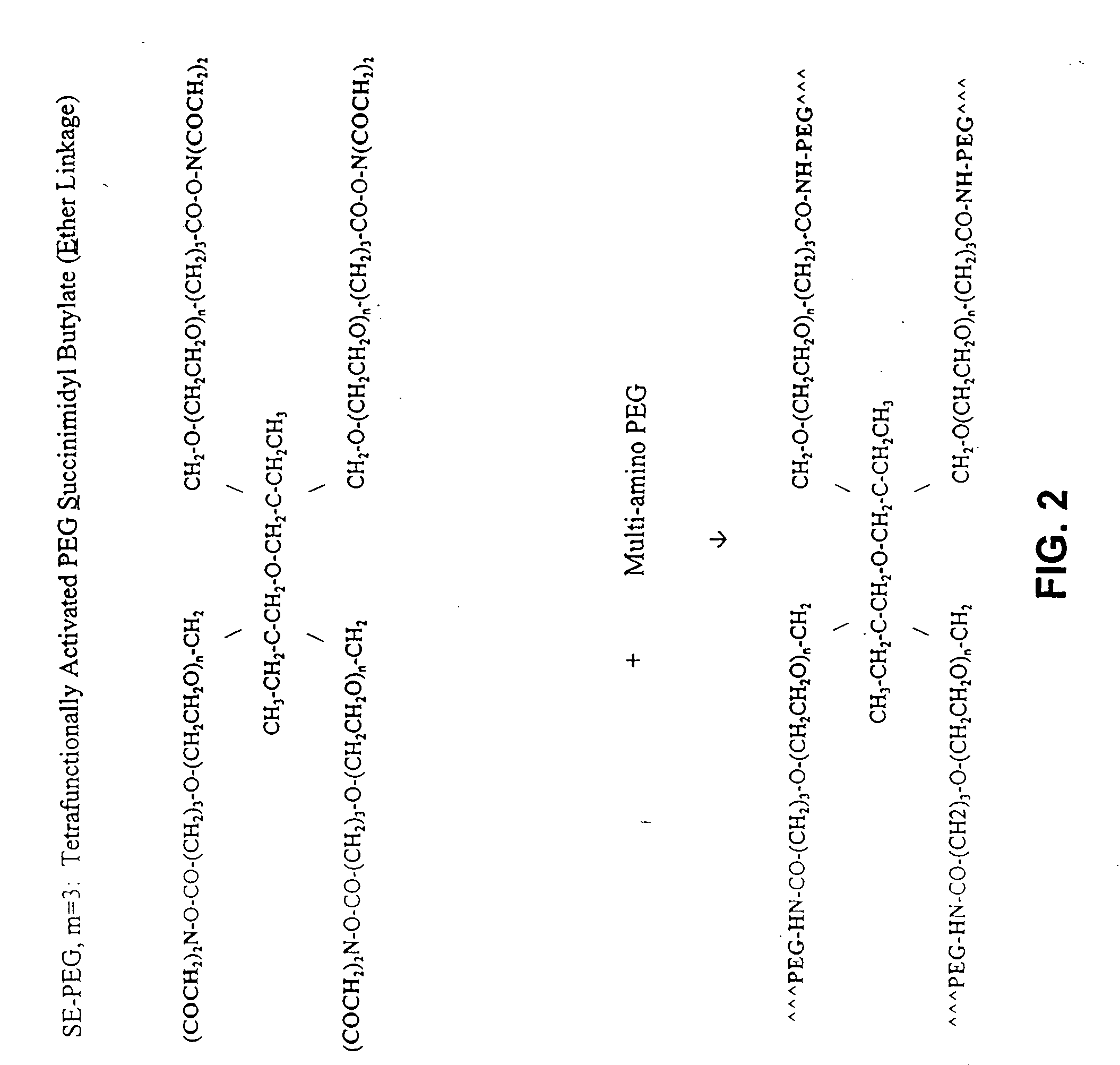 Compositions and systems for forming crosslinked biomaterials and methods of preparation and use
