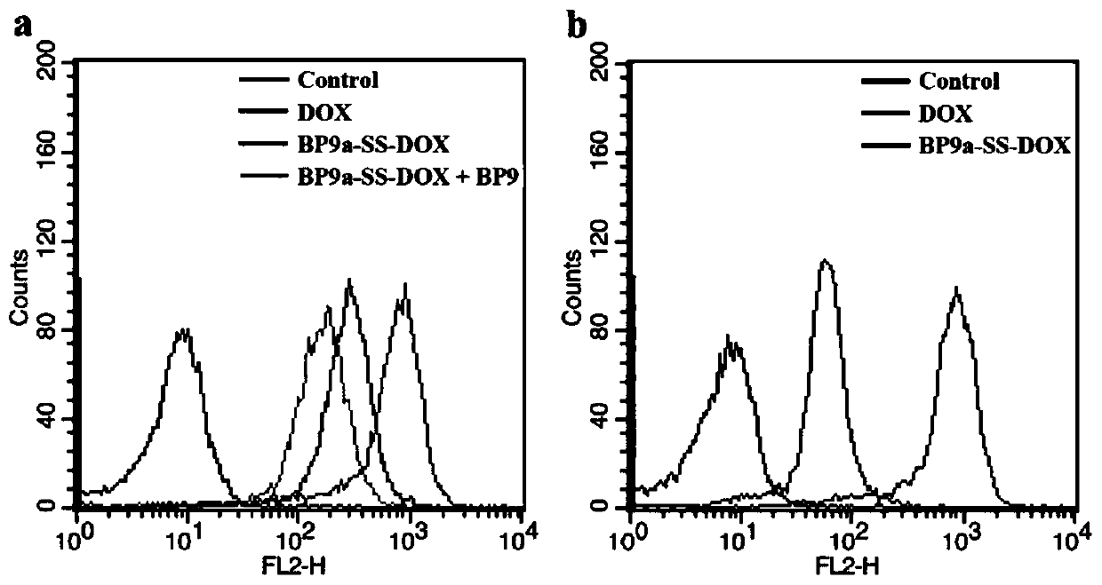 Transferrin receptor targeting polypeptide analogue-adriamycin conjugate and a preparing method and application thereof