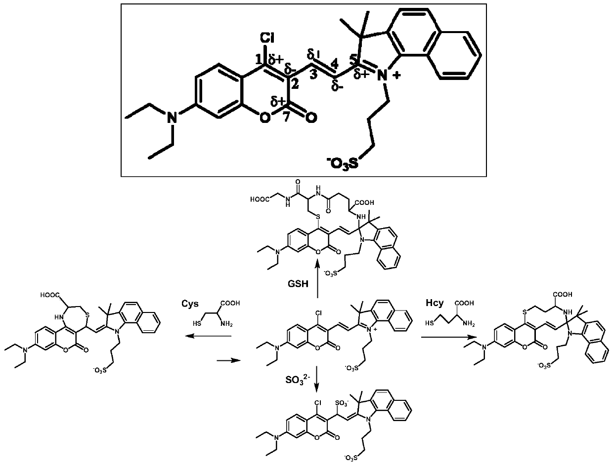 Multi-active-site fluorescent probe as well as synthesis method and application thereof