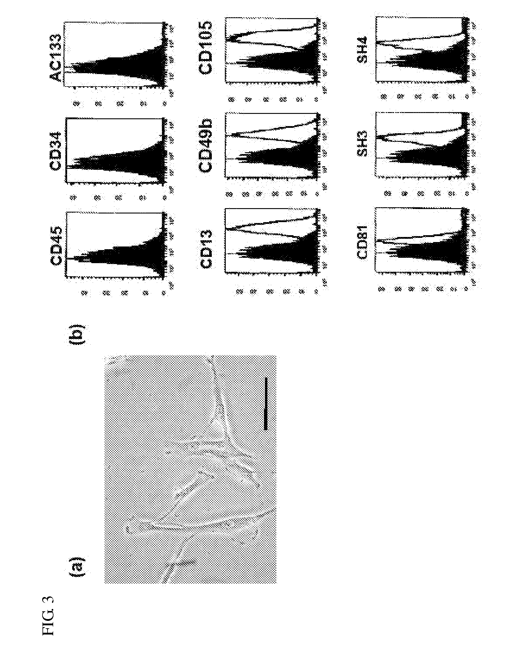 Composite for Thermo-Sensitive Cell-Tissue Transplanted Scaffold and Use thereof