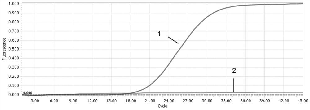 Primers and probe for dual real-time fluorescent quantitative PCR detection of duck circovirus type 1 and duck circovirus type 2