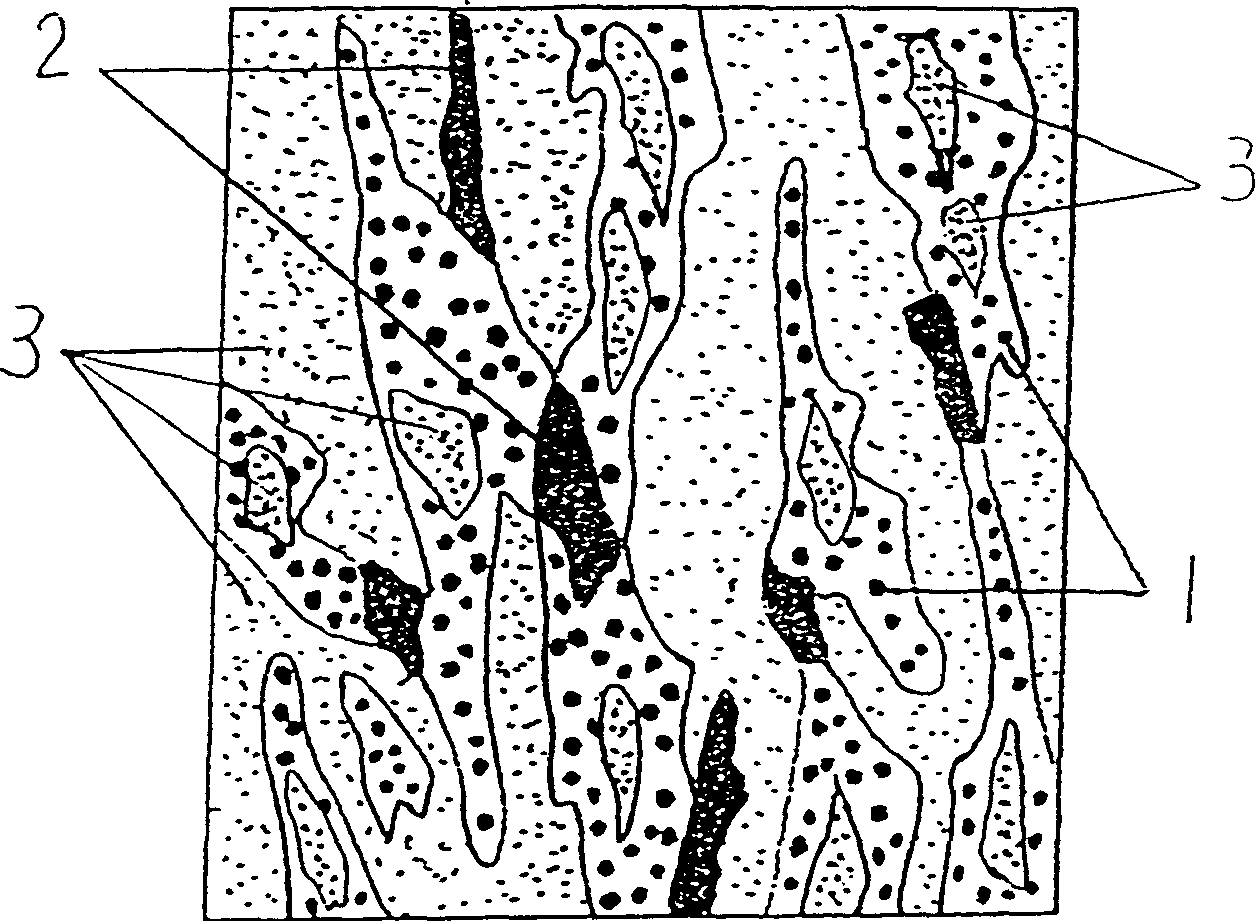 Three-dimensional diamond and its manufacturing method