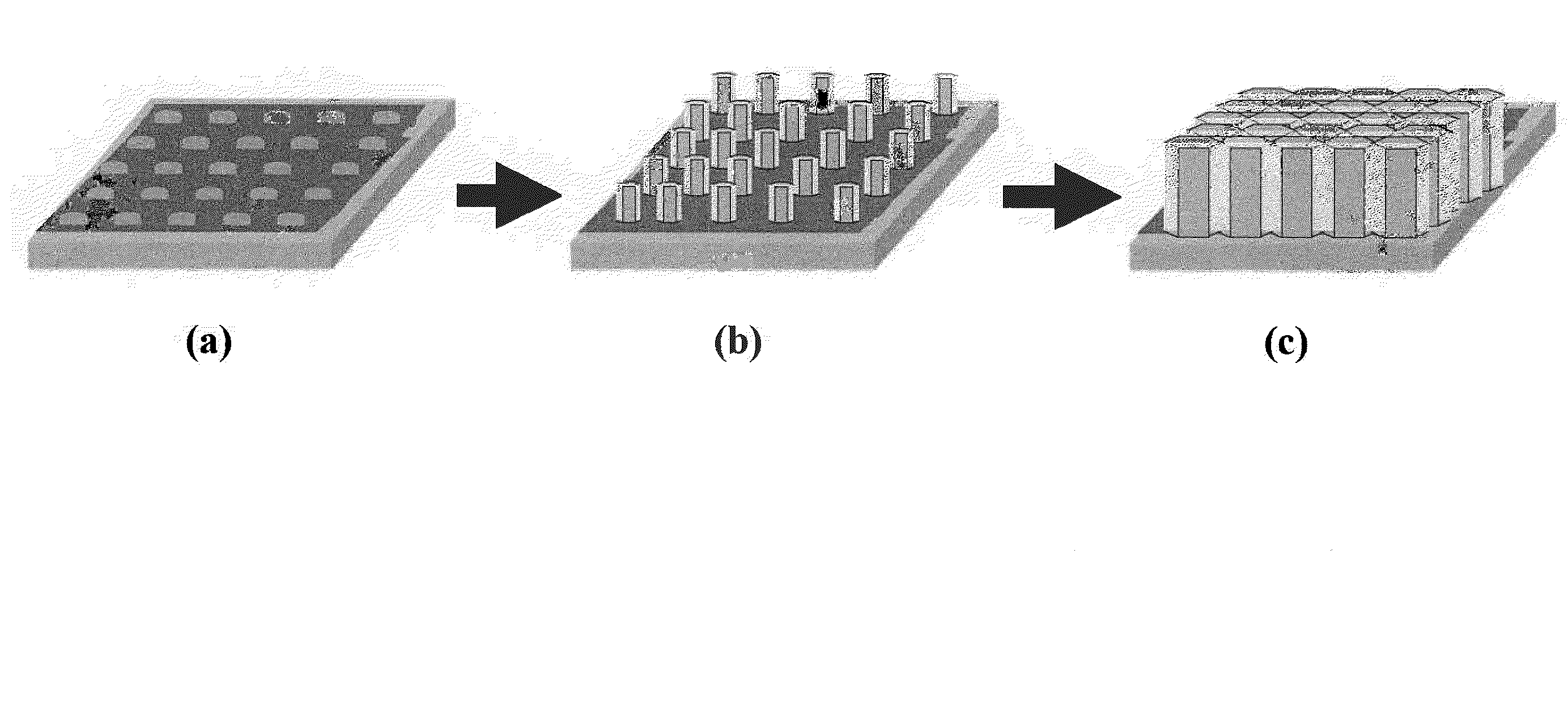 Ion-/proton-conducting apparatus and method