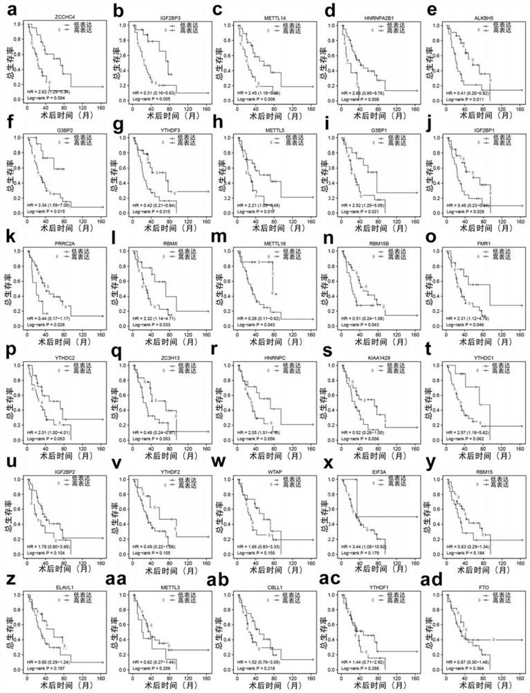 System for predicting benefit of adjuvant chemotherapy of small cell lung cancer and identifying chemotherapy drug-resistant treatment target and application