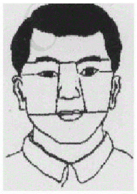 Chinese facial complexion recognition method based on color modeling