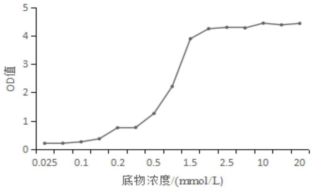 Lactobacillus space plantarum ss18-5 with reduced α-glucosidase activity and application thereof
